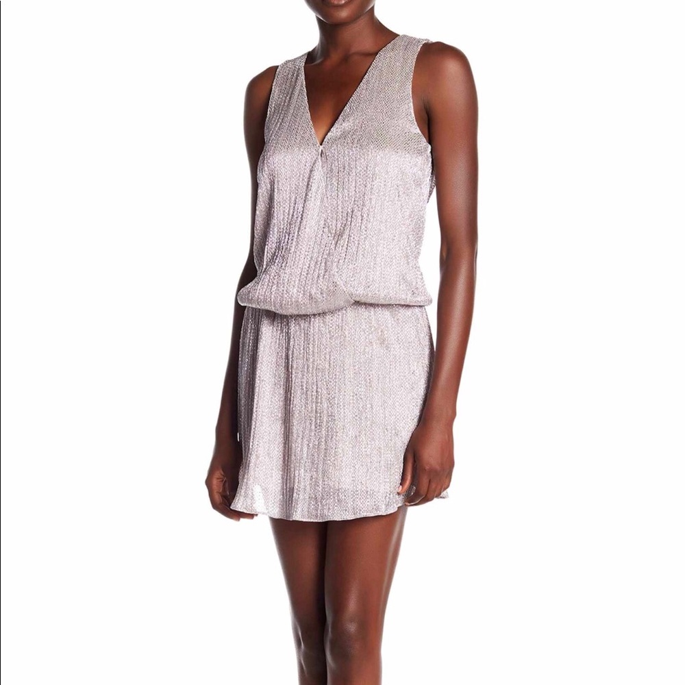 Parker dress blush XS NWT NORDSTROM